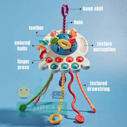 Montessori Sensory Development Toy