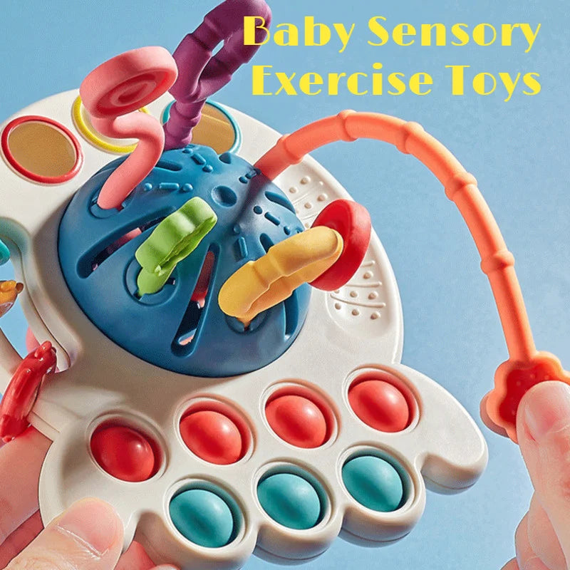 Montessori Sensory Development Toy